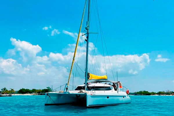 Atardeceres magicos en catamaran